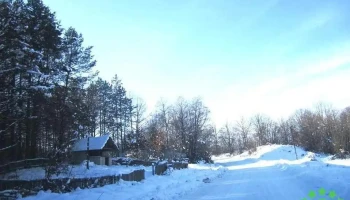 Șovarna - Șovarna