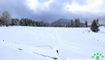 Ștei-Arieșeni - Ștei-Arieșeni