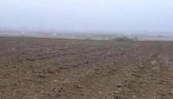 Șuțești - Șuțești