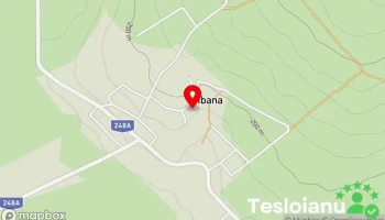 Țibana - Țibana