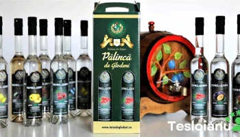 Țuică de Glodeni - Glodeni