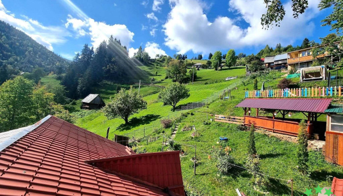 CABANA MESTEACANUL MAGURI RACATAU Catalog - Măguri-răcătău
