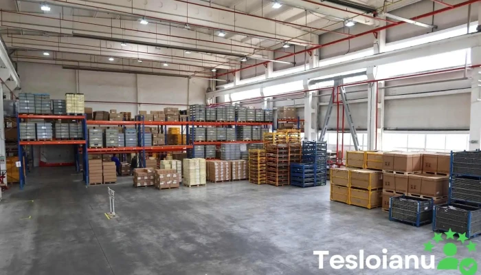Acs Automotive Complete Systems De La Proprietar - Câmpulung