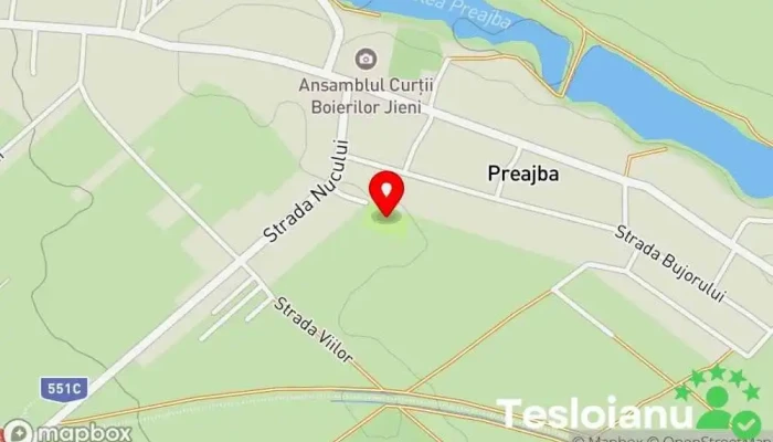 Acs Preajba - Malu Mare