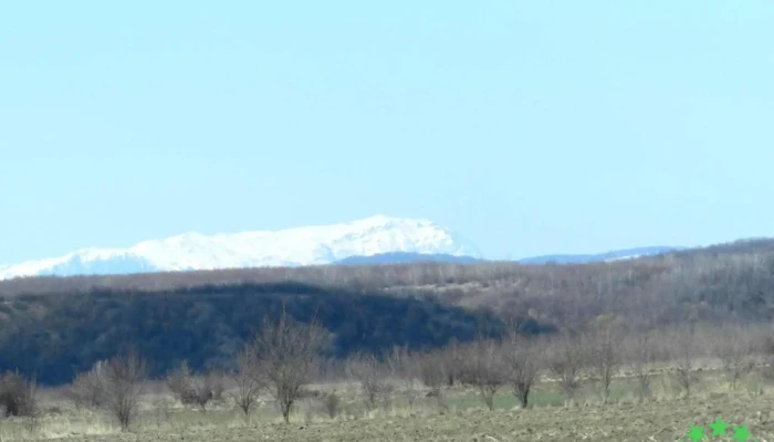 Adanca Munte - Adânca