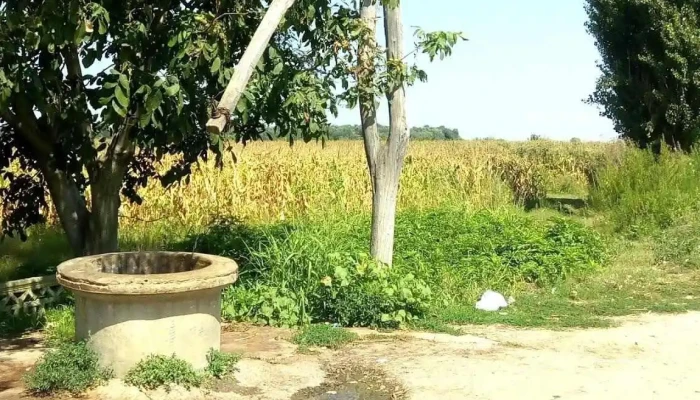 Adancata Unde - Adâncata