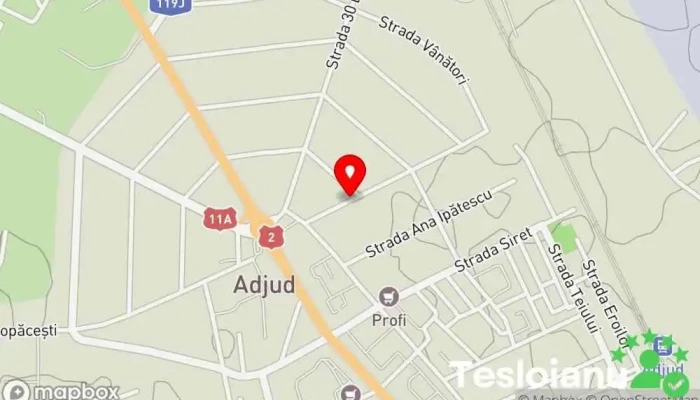 hartă a Adjud Zonă Serviciu de știri, Service establishment în 