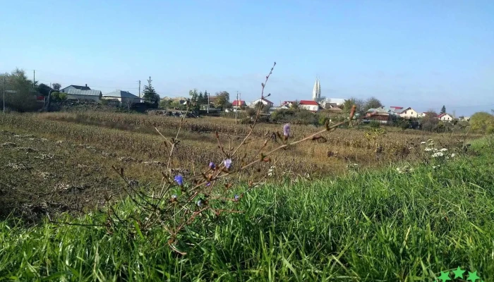 Adjudeni -  Zonă - Adjudeni