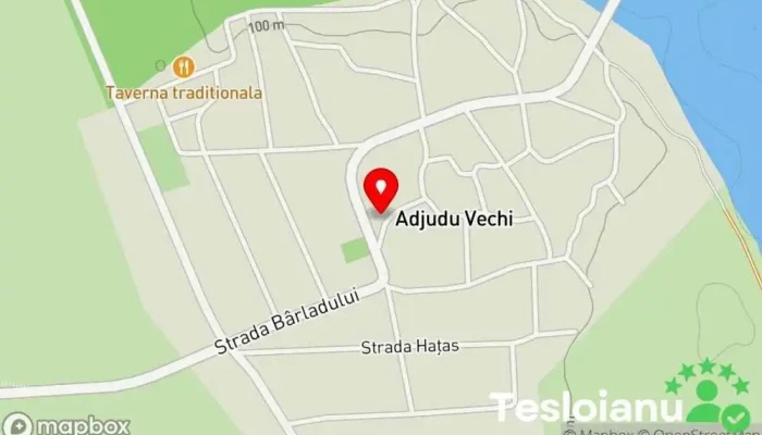 hartă a Adjudu Vechi  în Adjudu Vechi