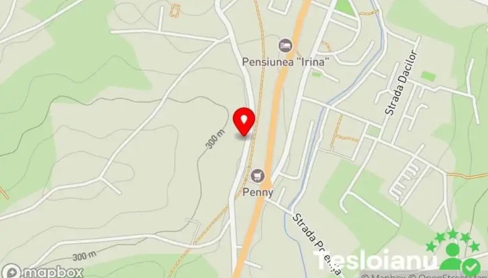hartă a Adrian Maduta Service auto în Brad