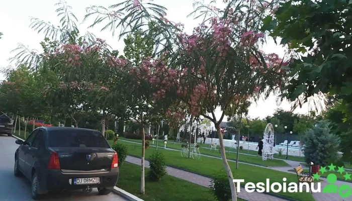 Adrilex Dabuleni , Statie Betoane si materiale constrctii - Dăbuleni