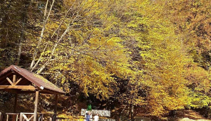 Agapia -  Comentarii - Romania