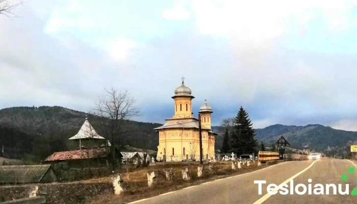 Agas Munte - Agăș