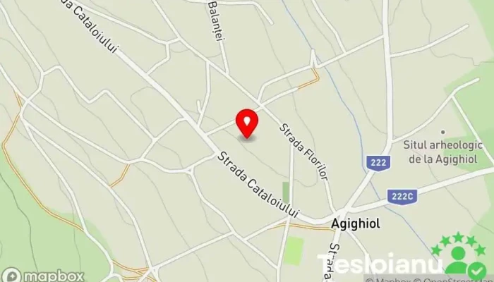 hartă a Agighiol  în Agighiol
