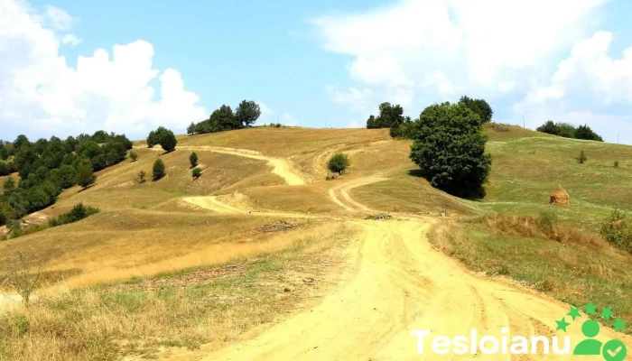 Agrieșel - Agrieșel