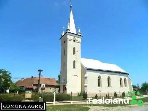 Agris Unde - Agriş