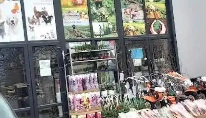 Agroland Fierbinti Targ - Fierbinți-Târg