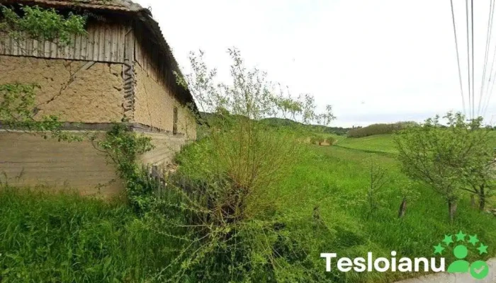 Agrovioforest - Câmpani De Pomezeu 417381