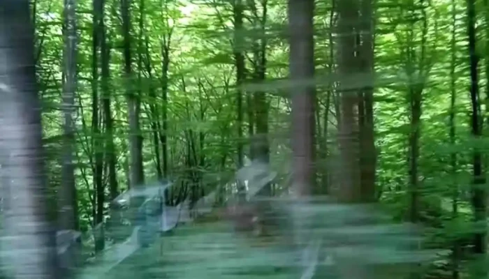 Aita Seaca Videoclipuri - Aita Seacă