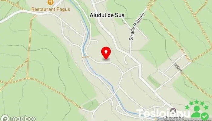 hartă a Aiudul de Sus  în Aiudul de Sus