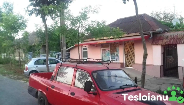 Albesti Comentarii - Albești
