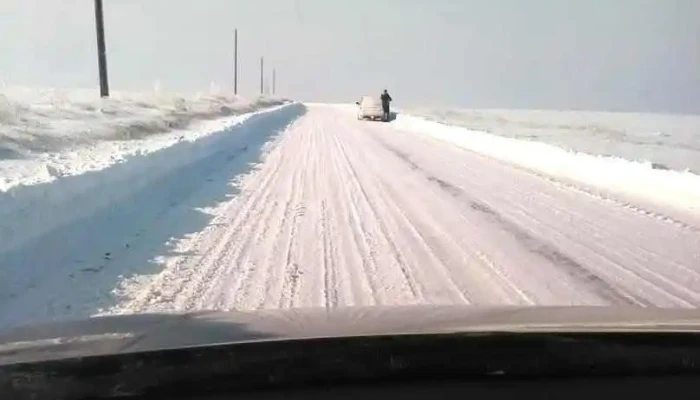 Albești - Albești