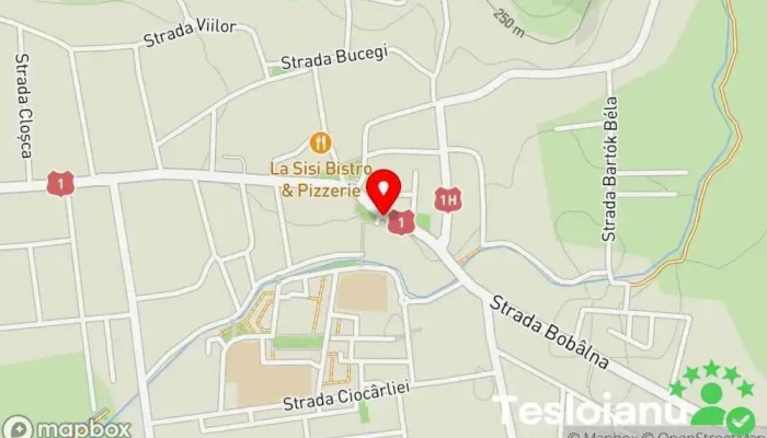 hartă a Aleșd  în Aleșd
