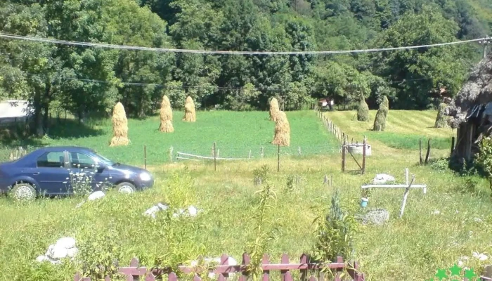 Almașu Mare - Almașu Mare