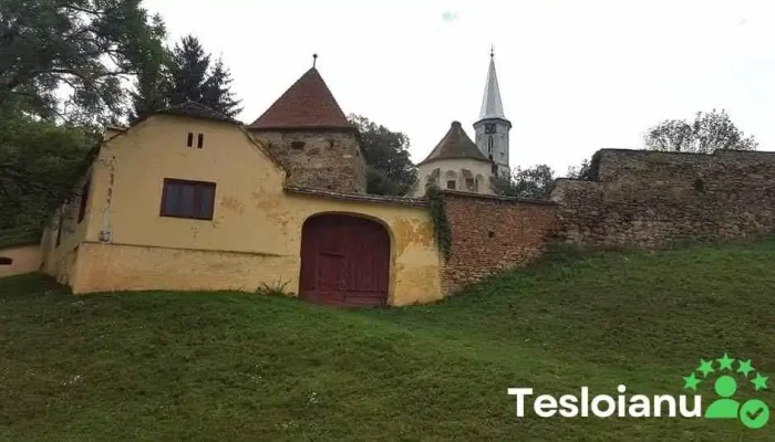 Altana Site Web - Alțâna