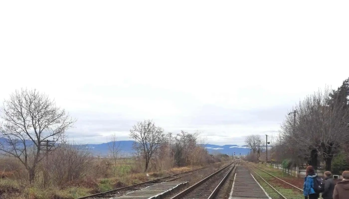 Alunis Mures -  Prețuri - Romania