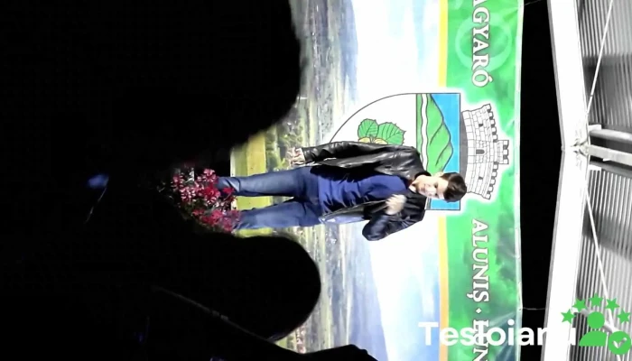 Alunis Mures -  Videoclipuri - Romania