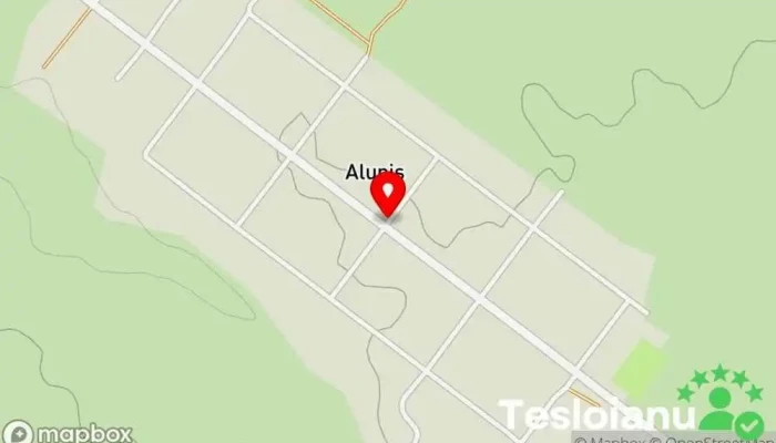 Aluniș - Aluniș