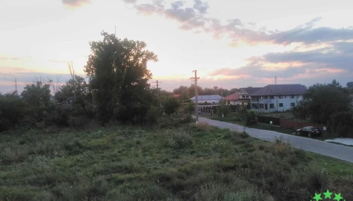 Amara -  Prețuri - Amara