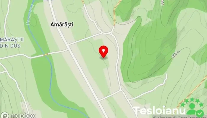 hartă a Amărăşti  în Amărăşti