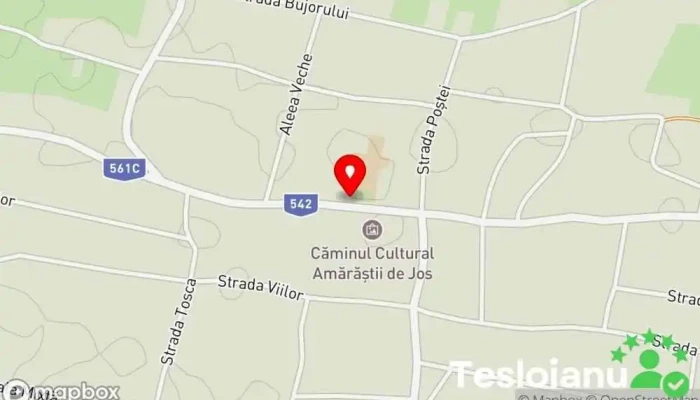 hartă a Amărăștii de Jos  în Amărăștii de Jos