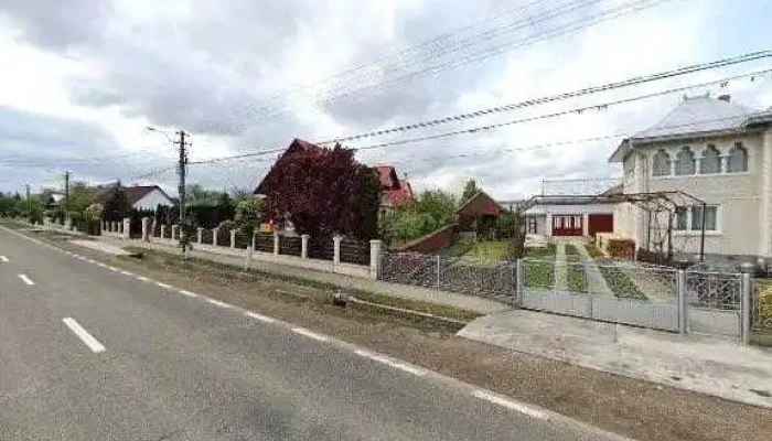 Ancuta Cum Să Ajungi Acolo - Arbore