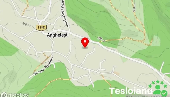 hartă a Anghelești  în Anghelești