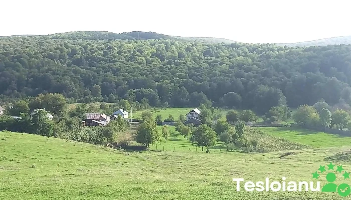 Anghelesti Reduceri - Anghelești