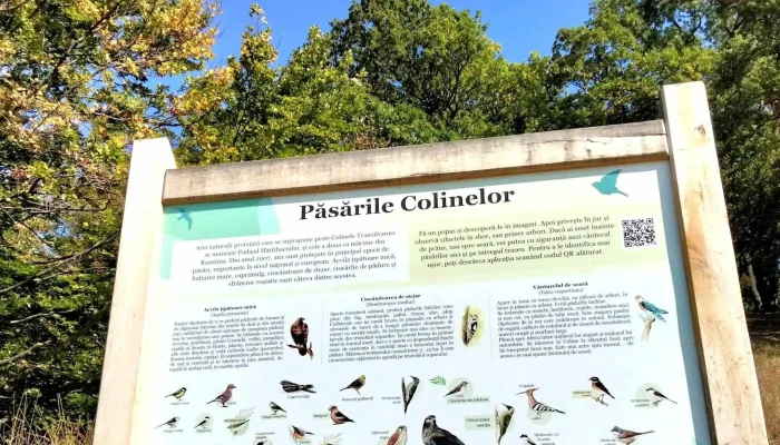 Angofa Wildlife Centre -  Deschis Acum - Angofa
