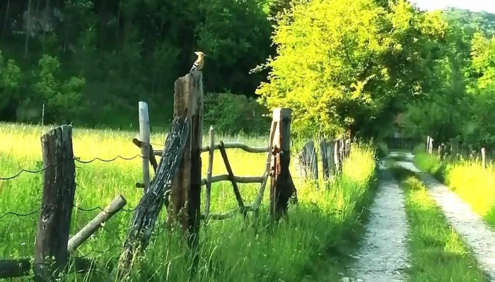 Aninoasa -  Reduceri - Aninoasa