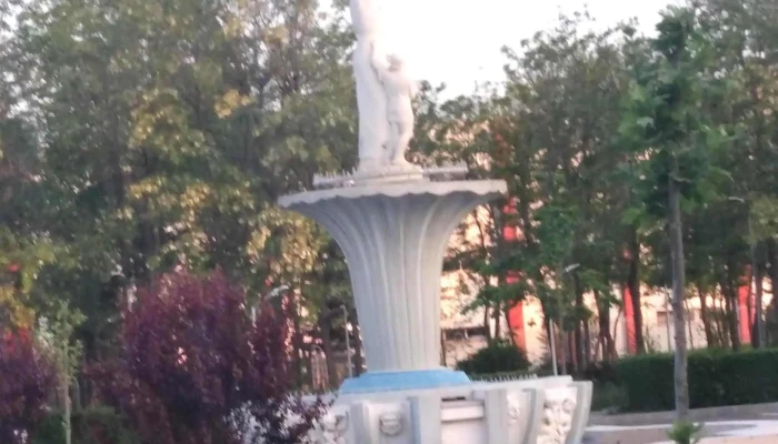 Antibiotice -  Promoție - Iași