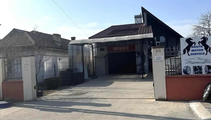 Anuta motor service - Balș 235100