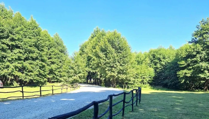 Aprilia Park -  Videoclipuri - Sănăteşti