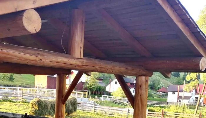Argel -  Catalog - Romania
