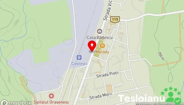 hartă a Argeșul Restaurant în Costești