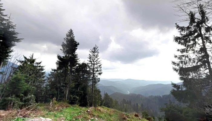 Arieseni Street View Si 360 - Arieșeni