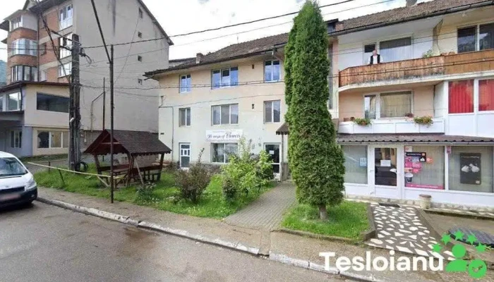 Ariesul Conf S.a. - Baia De Arieș