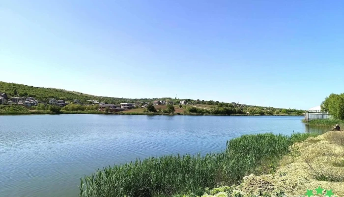 Aroneanu -  Promoție - Romania