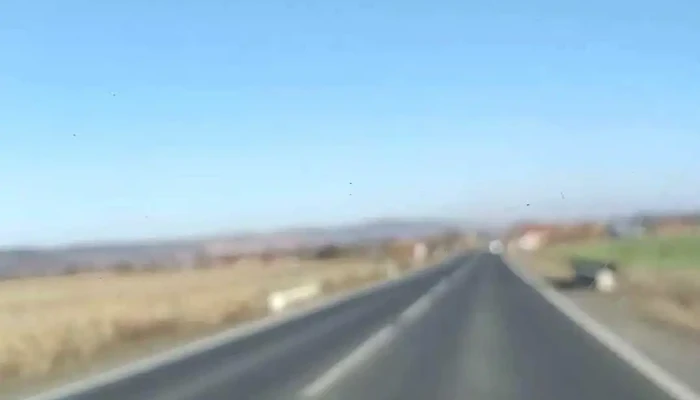 Arpasu De Jos Videoclipuri - Arpașu De Jos