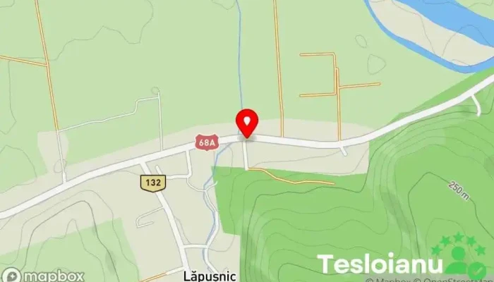 hartă a ASM TRACTARI AUTO NON STOP DEVA Serviciu de transport vehicule în Lăpuşnic